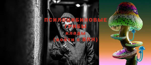 твердый Инсар