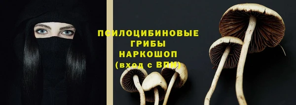 ГАЛЛЮЦИНОГЕННЫЕ ГРИБЫ Алексин