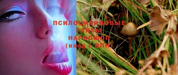 spice Абаза