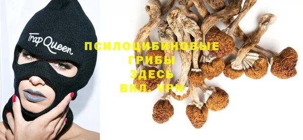 spice Абаза